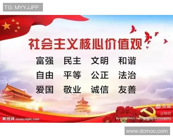 武汉排球队的精神传承与团队意识深度解析